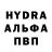 Каннабис индика Ekhrom Khaidarov