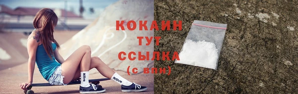 дмт Михайловск